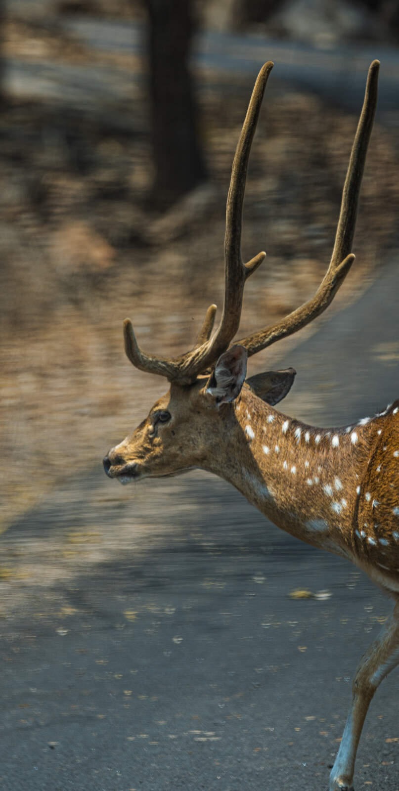 Landscape Photography