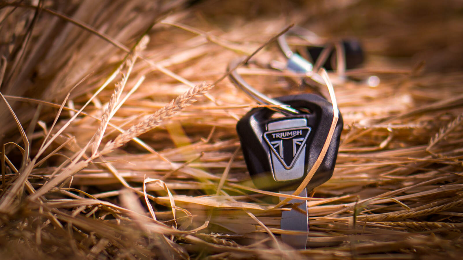 Wildlife Photography